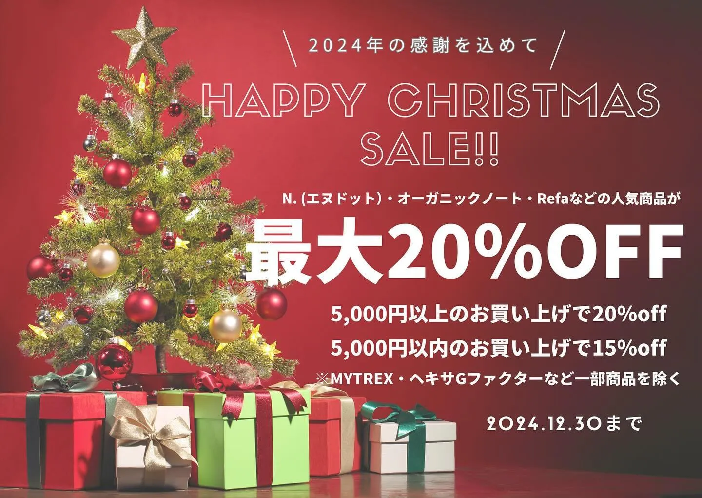 お得なクリスマスセール始まりました🎄